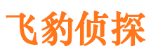 新城区寻人公司